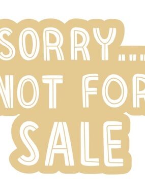 FREE PEOPLE We The Free Moxie Railroad Low-Slung Jeans Brick Women’s - Size 29